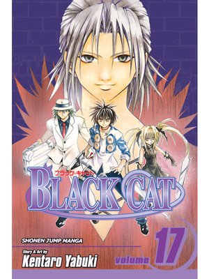 cover image of Black Cat, Volume 17